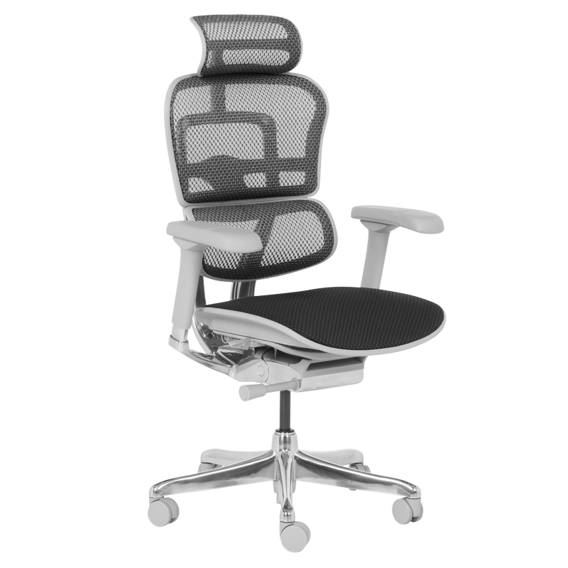 Ергономичен стол ERGOHUMAN ELITE 2 - сива рамка - черен