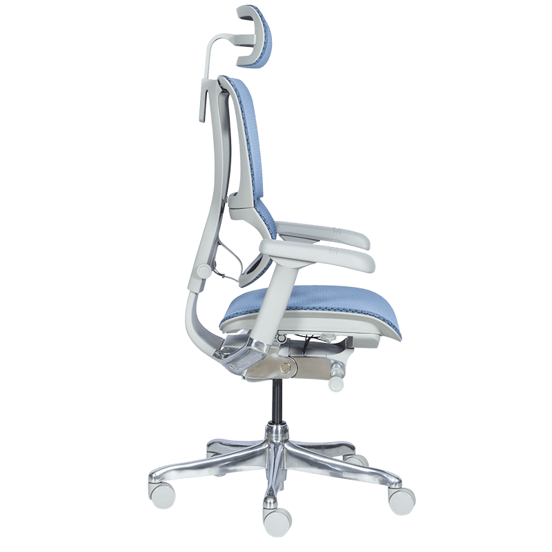 Ергономичен стол ERGOHUMAN IOO ELITE 2 - сива рамка - син