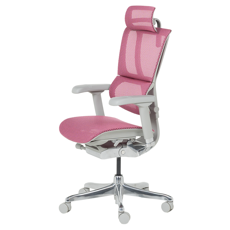 Ергономичен стол ERGOHUMAN IOO ELITE 2 - сива рамка - розов