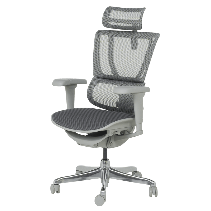 Ергономичен стол ERGOHUMAN IOO ULTRA - сива рамка - сив