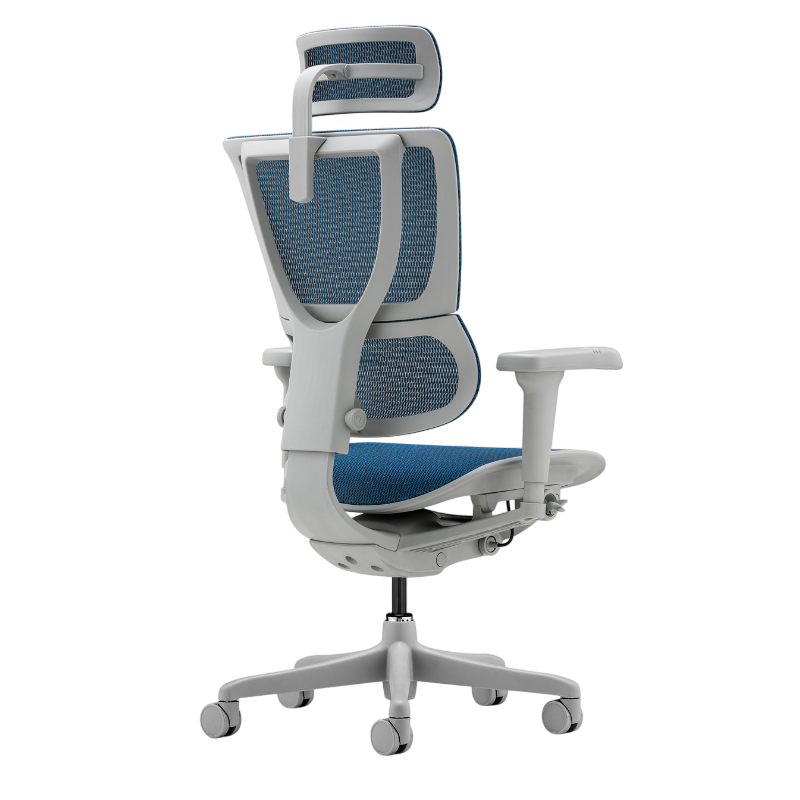 Ергономичен стол ERGOHUMAN IOO ULTRA - сива рамка - син