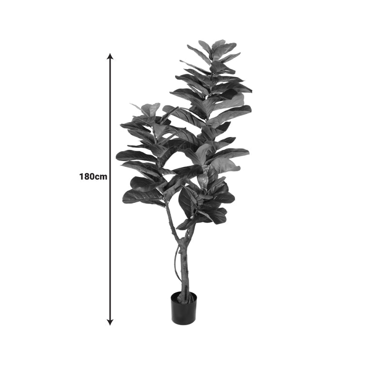 Декоративно растение fiddlehead i в саксия  green pp h180cm