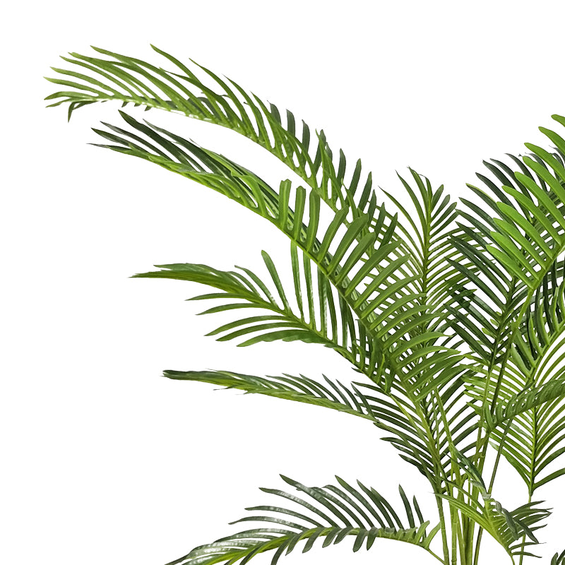 Декоративно растение Арека I в саксия зелено рр. В120см