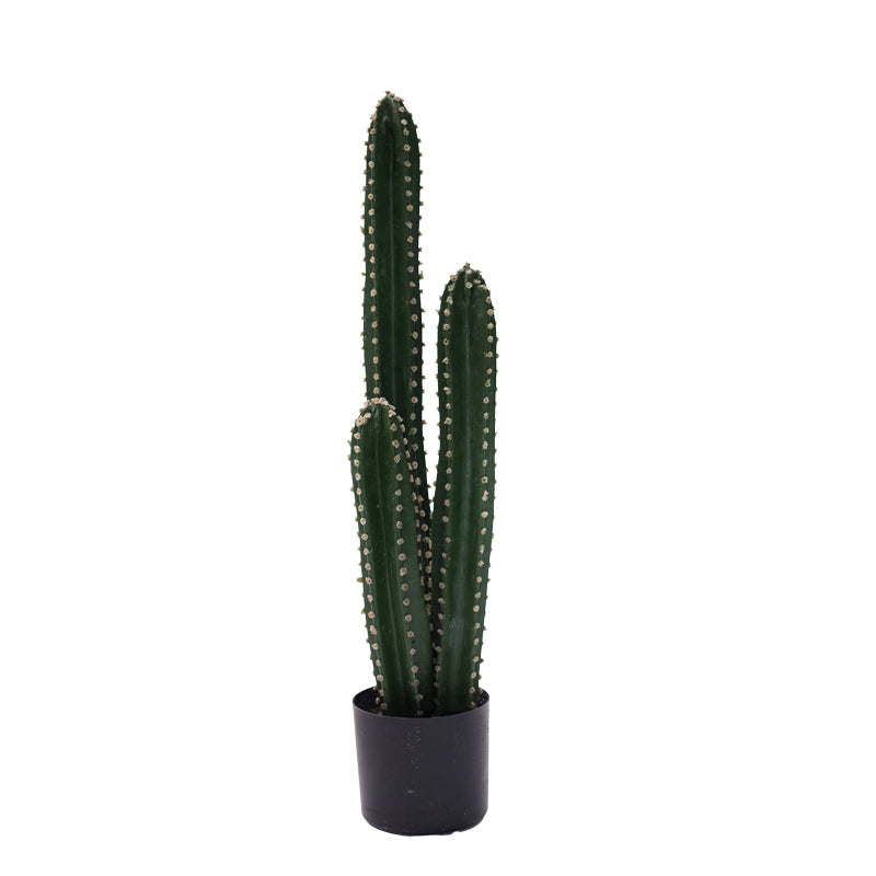 Декоративно растение Cactus III в саксия green pp H85cm