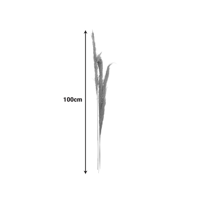 Деко листа от пампас beroun  комплект от 3 части в естествен цвят h140см