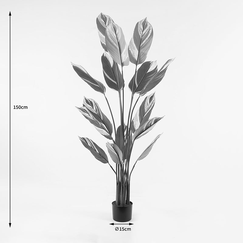 Декоративно растение в саксия аглаонема инарт зелена d80x150см