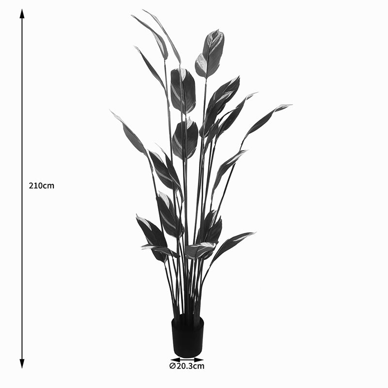 Декоративно растение в саксия lucky i зелено d80x210см