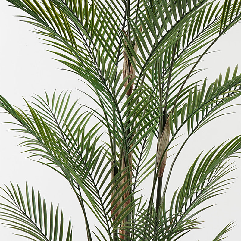 Декоративно растение в саксия kwai зелено d125x180см