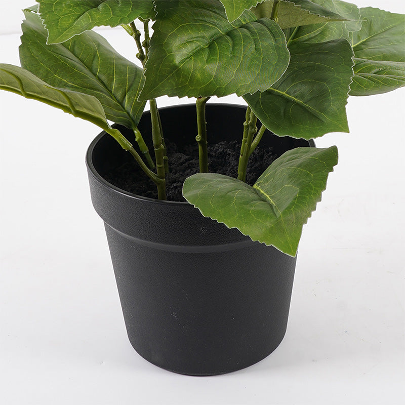 Декоративно растение в саксия хортензия инарт розова d35x50см