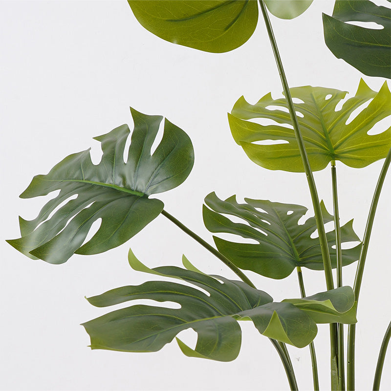 Декоративно растение в саксия deliciosa зелено d94x120см