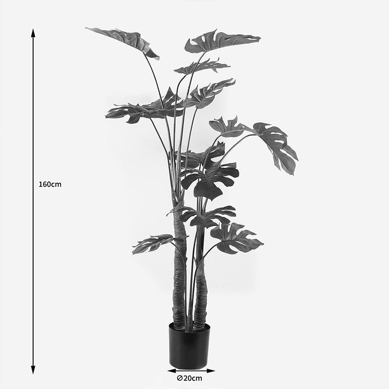 Декоративно растение в саксия deliciosa i зелено d90x160см