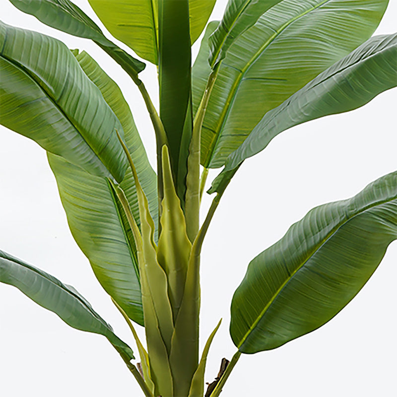 Декоративно растение в саксия banono зелено d95x160см