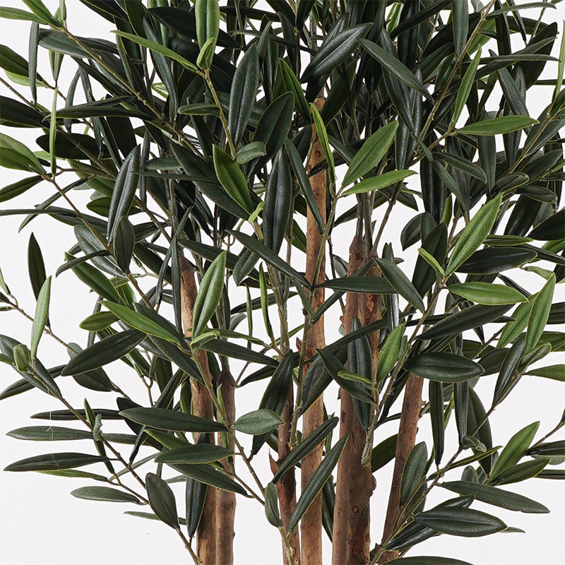 Декоративно растение в саксия olia зелено d52x120см