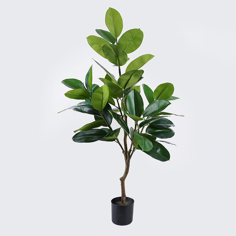 Декоративно растение в саксия ficus lyrata зелено d70x130см