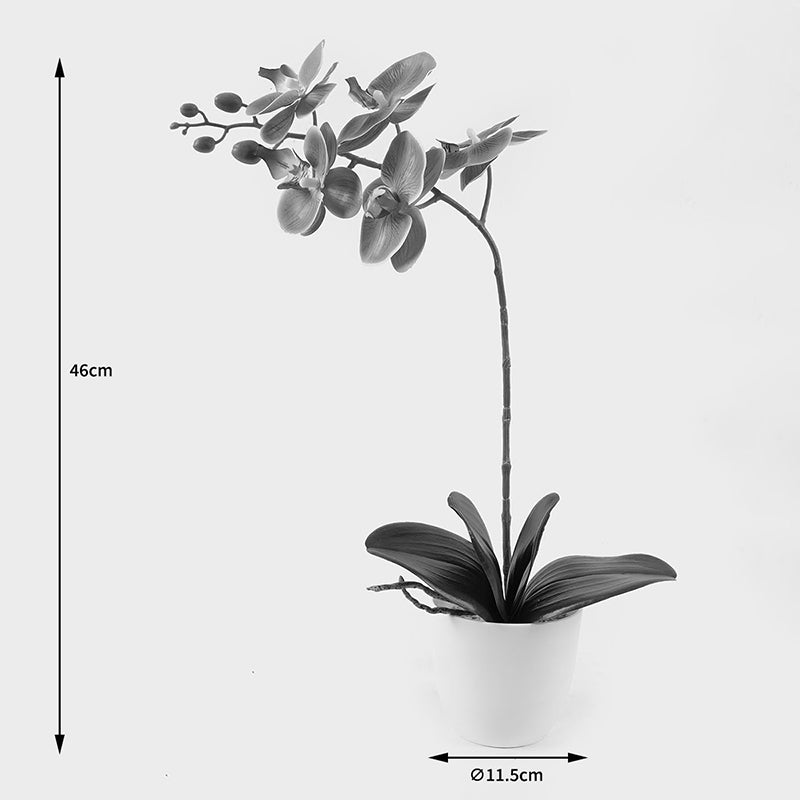 Декоративно растение в саксия орхидея бюти инарт 30x13x46см