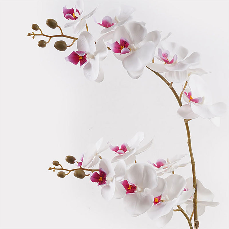 Декоративно растение в саксия орхидея бяла 36x17x65см