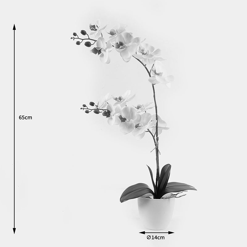 Декоративно растение в саксия орхидея бяла 36x17x65см