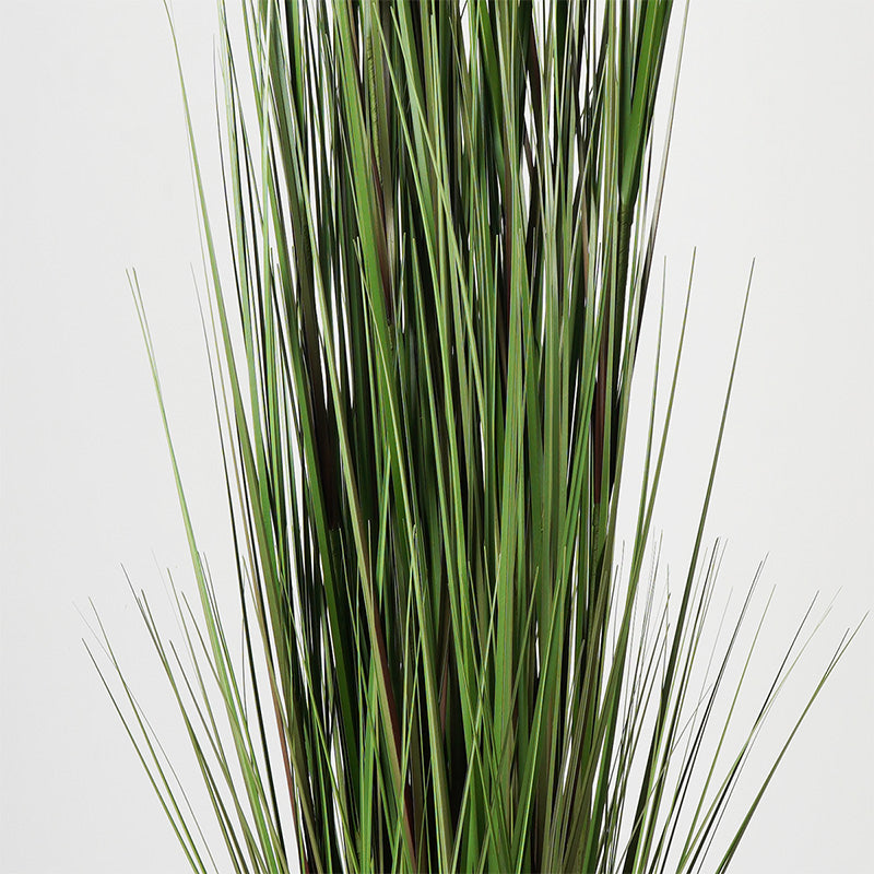 Декоративно растение в саксия чемшир зелен d46x150см