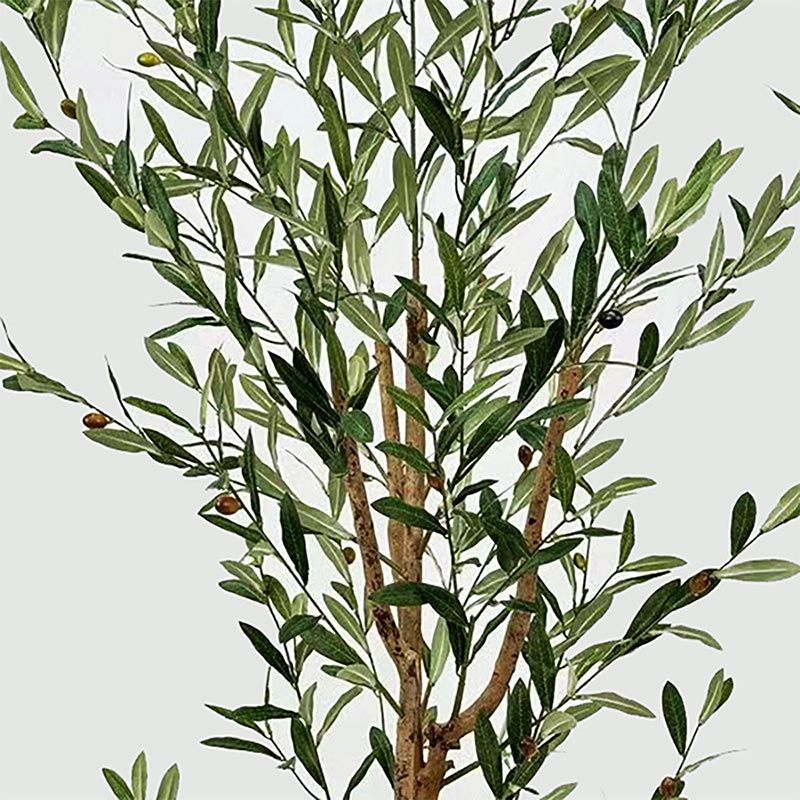 Декоративно растение в саксия olia зелено 65x55x180см