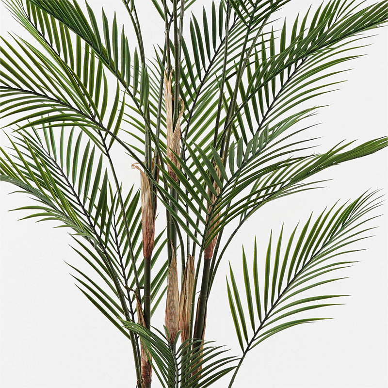 Декоративно растение в саксия kwai зелено d92x150см