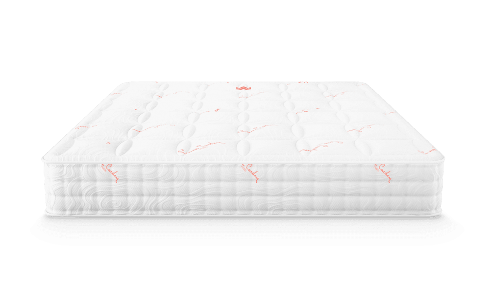 Riviera by pierre cardin