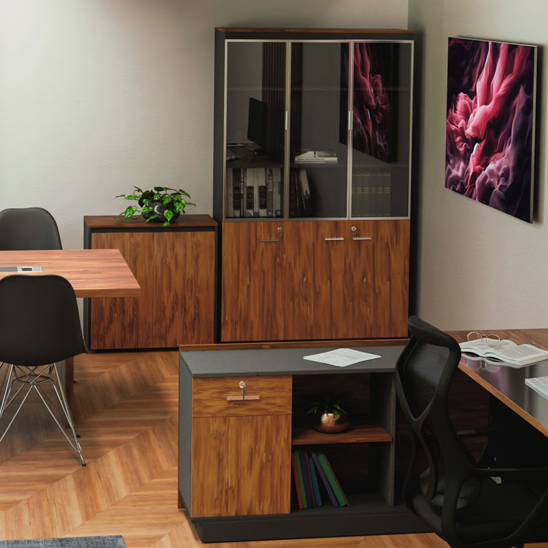 Професионална библиотека Oscar с врати от стъкло цвят орех-анхрацит 120x40x200см