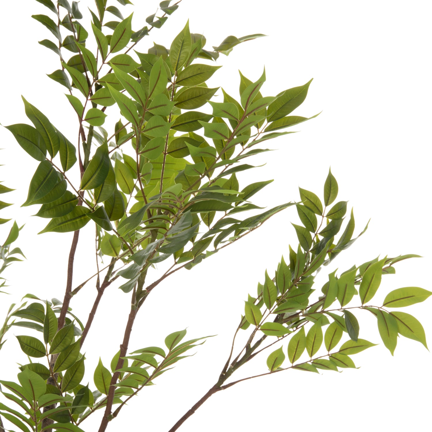 Растение дърво в саксия  КГ7970 зелен цвят 190см