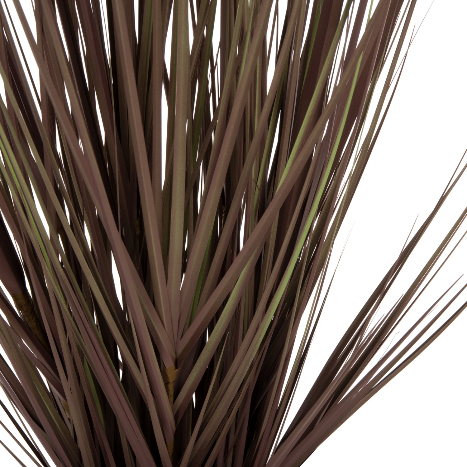 Растение трева в саксия кафяв цвят 120см