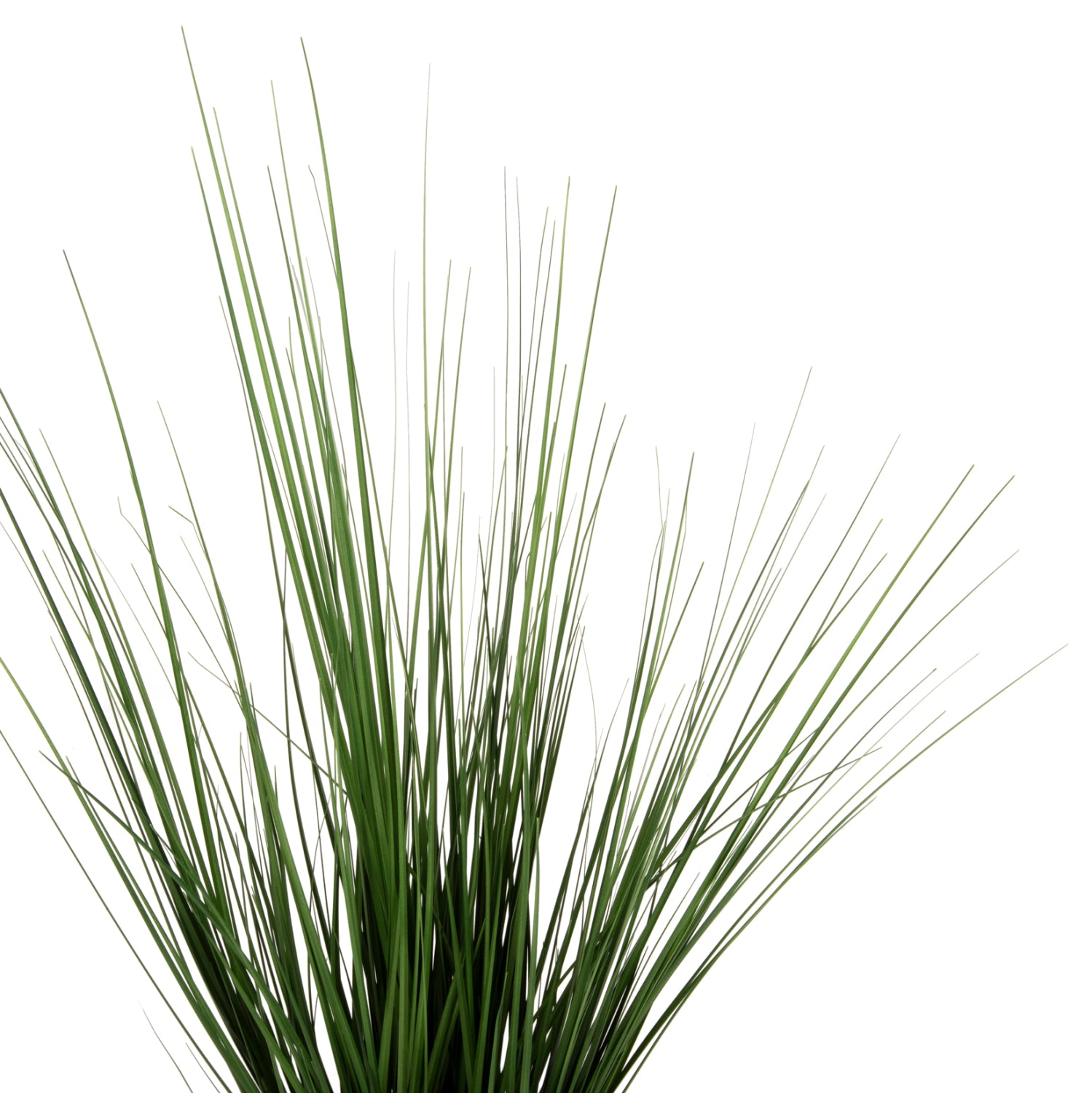 Растение трева в саксия зелен цвят Φ11.5x11.5-90см.