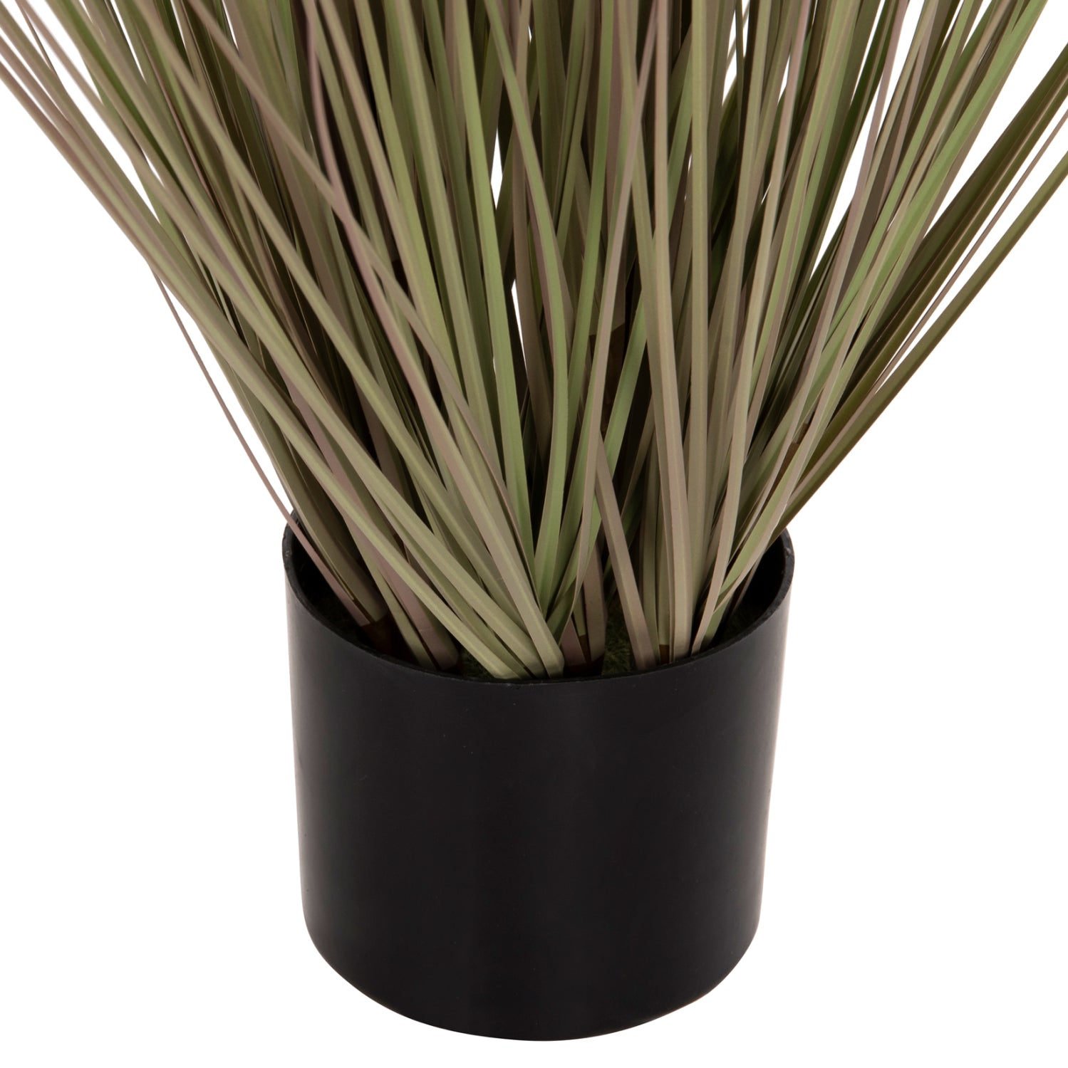 Растение глухарчета с трева в саксия зелен цвят  Φ9.5x9-62Ηсм.