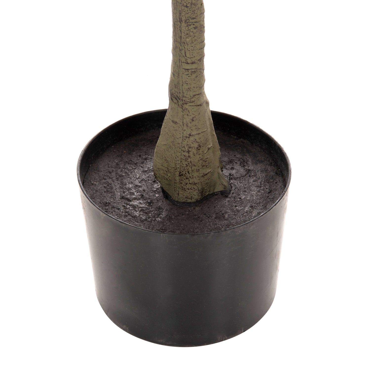 Растение лимоново дърво в саксия Φ15x12-170