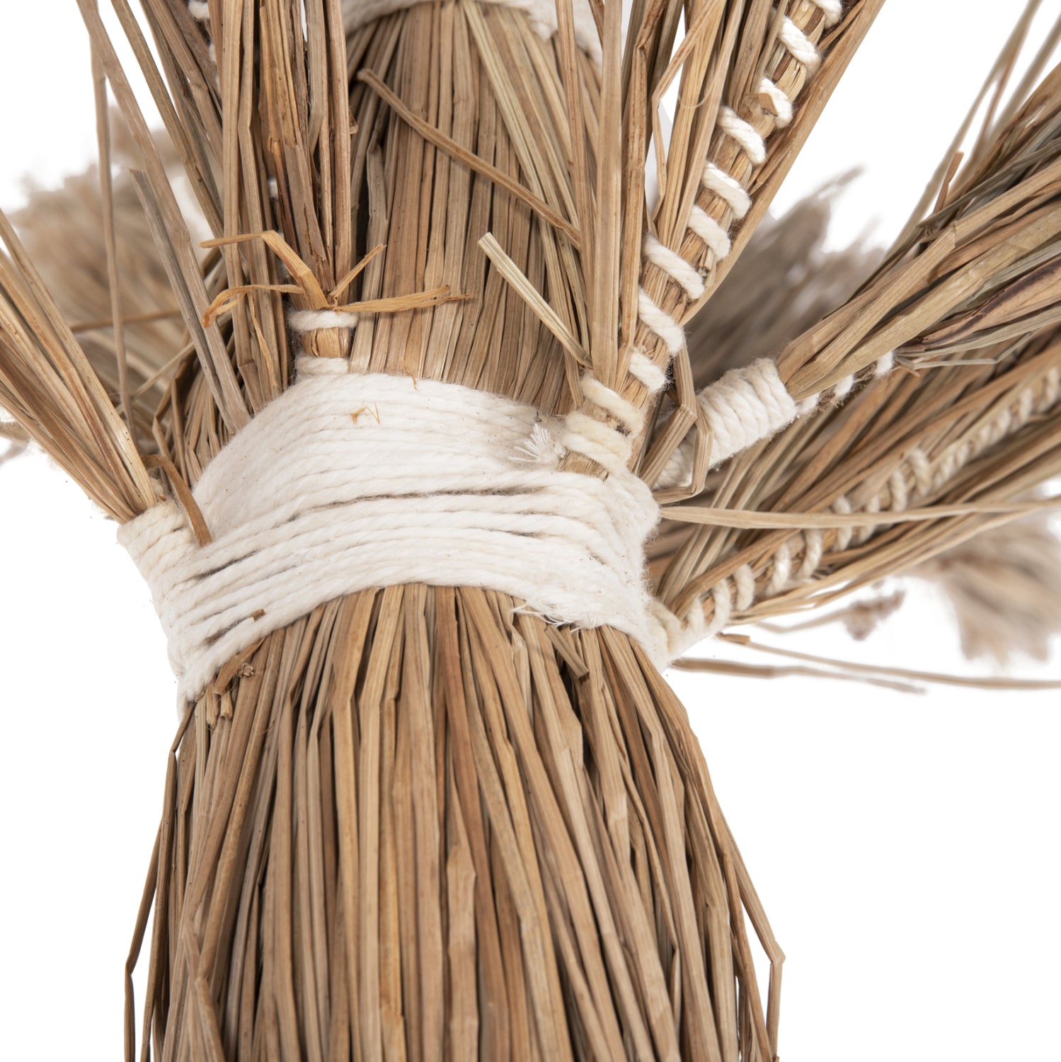 Декоративно тропическо дърво палма /мендонг трева 310 см