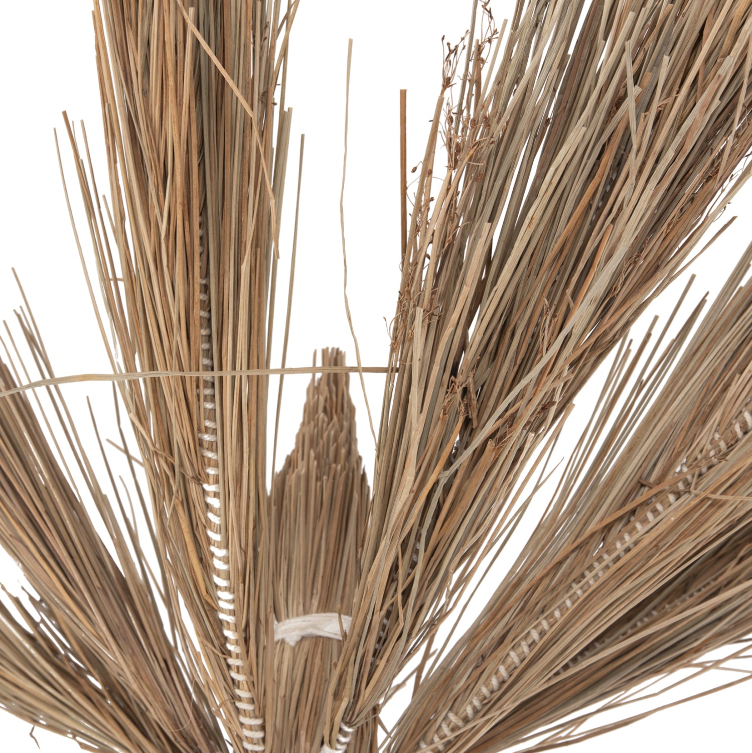 Декоративно тропическо дърво палма /мендонг трева 310 см