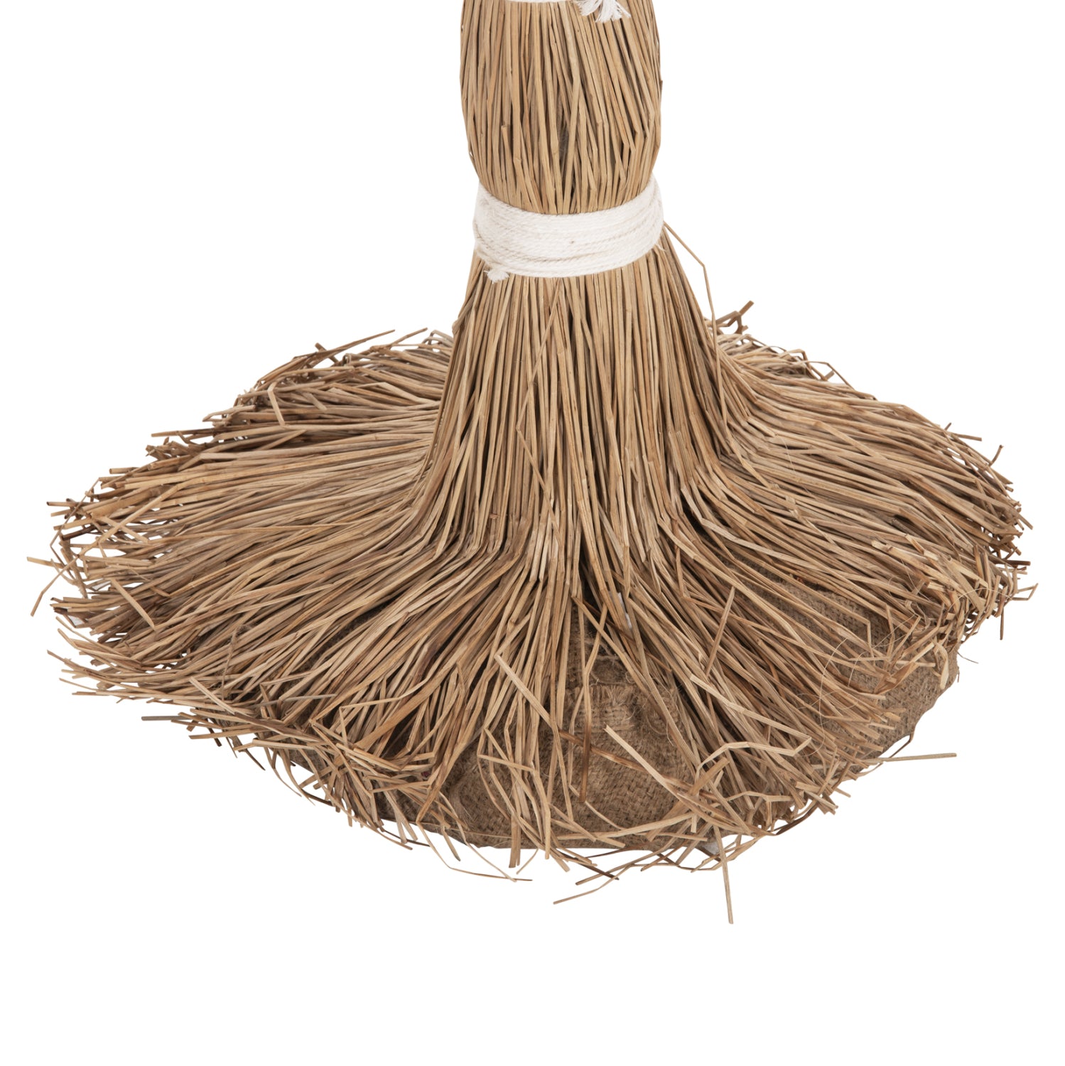 Декоративно тропическо дърво палма /мендонг трева 310 см