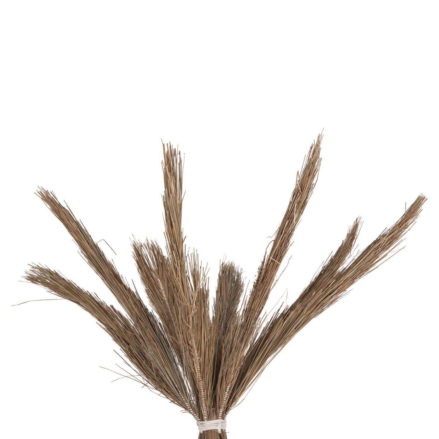 Декоративно тропическо палма дърво /мендонг трева 280 см