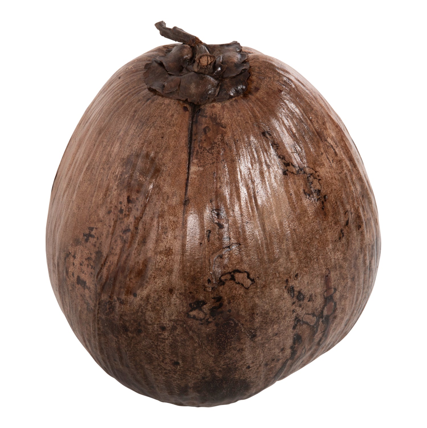 Декорация кокос за маса цвят натурал 20x20x20