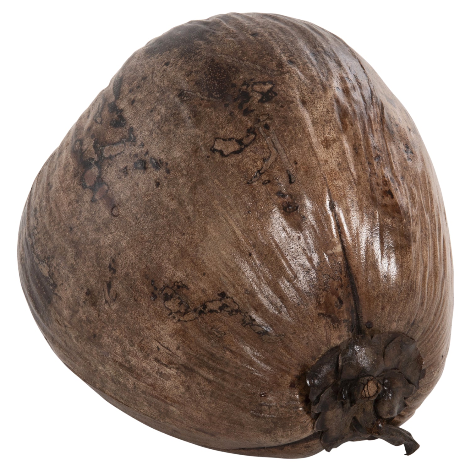 Декорация кокос за маса цвят натурал 20x20x20