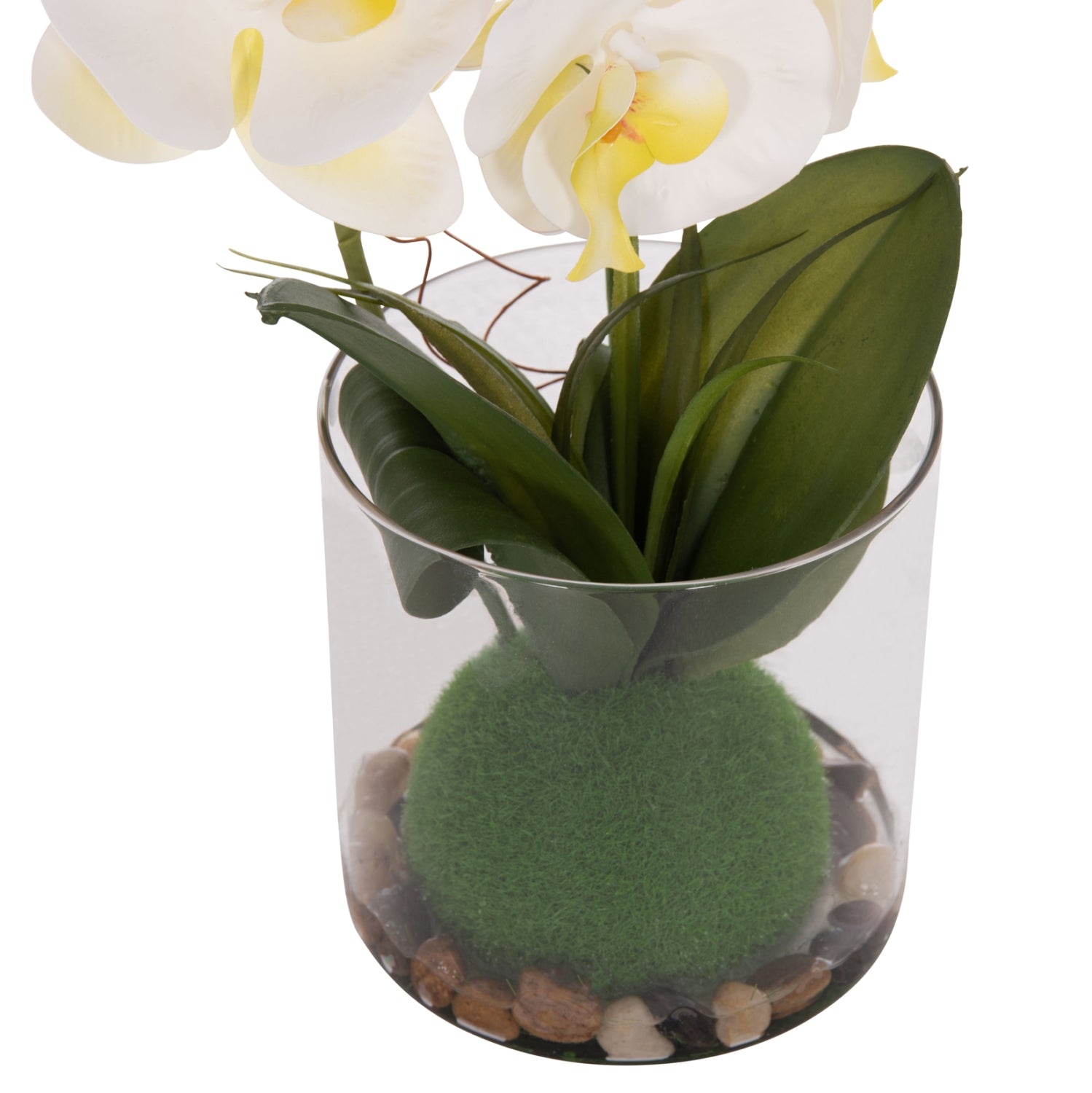 Декоративно синтетично растение цвете Фаленопсис в стъклена ваза 12x24x30cм
