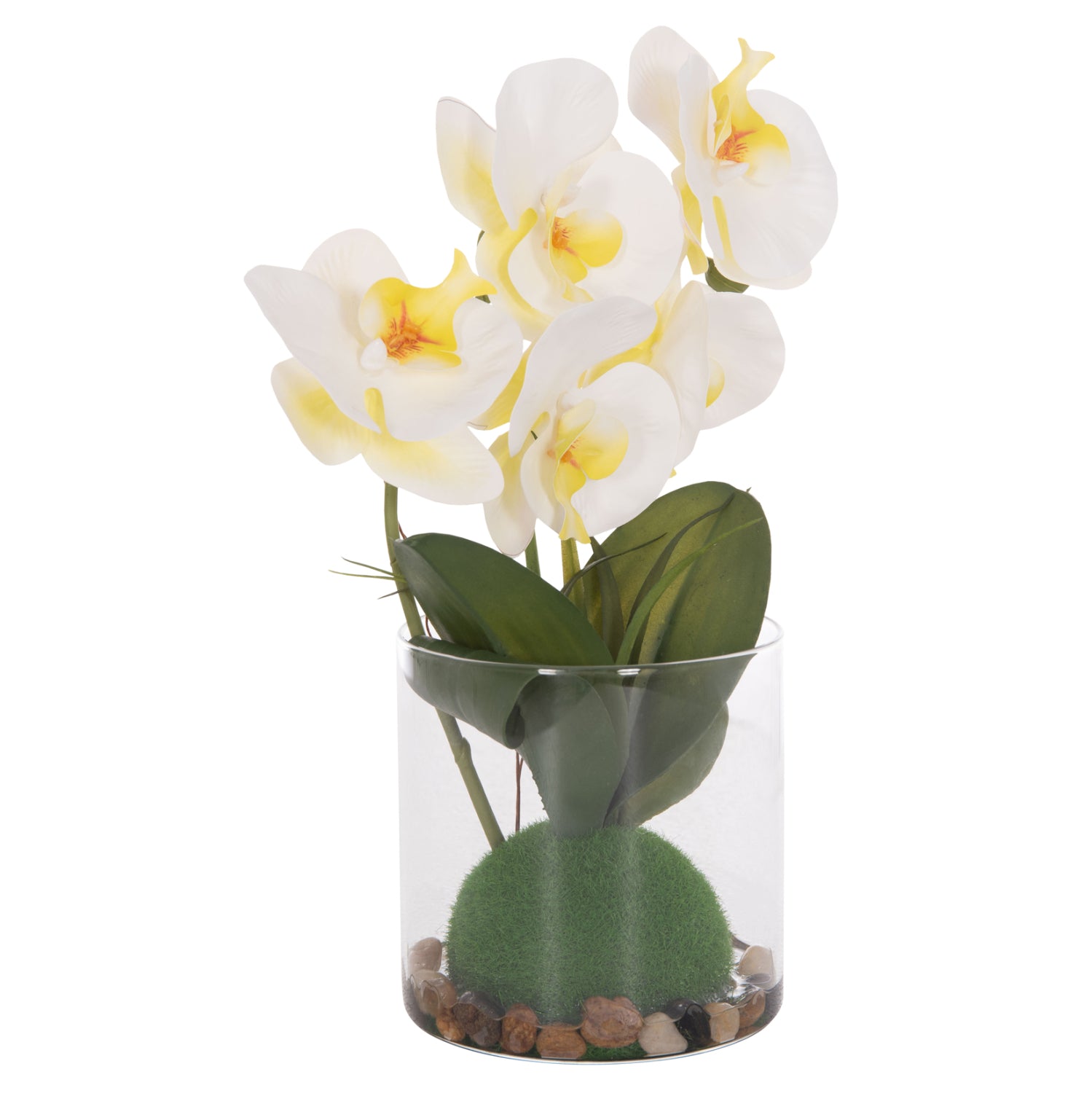 Декоративно синтетично растение цвете Фаленопсис в стъклена ваза 12x24x30cм