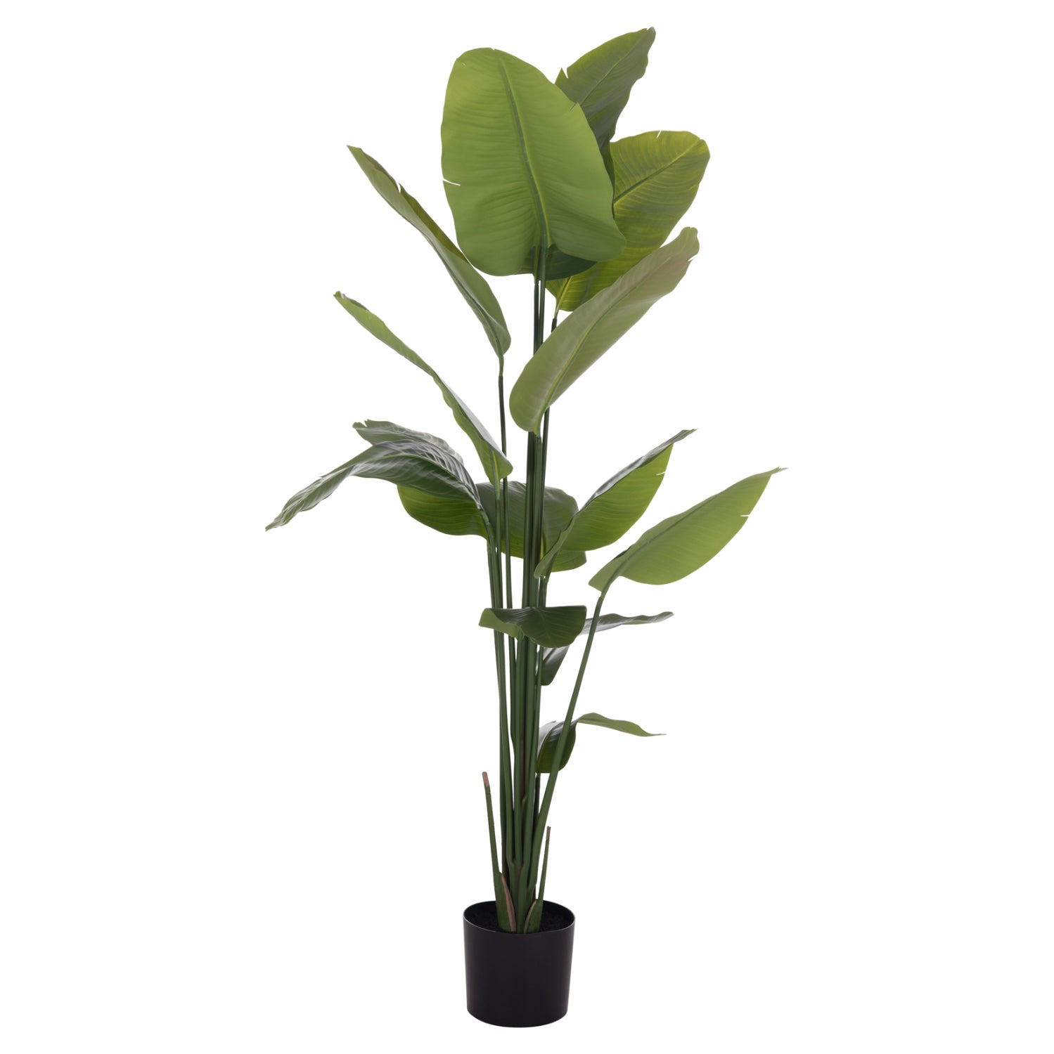 Декоративно синтетично растение Стрелиция в саксия  Ф18x172см