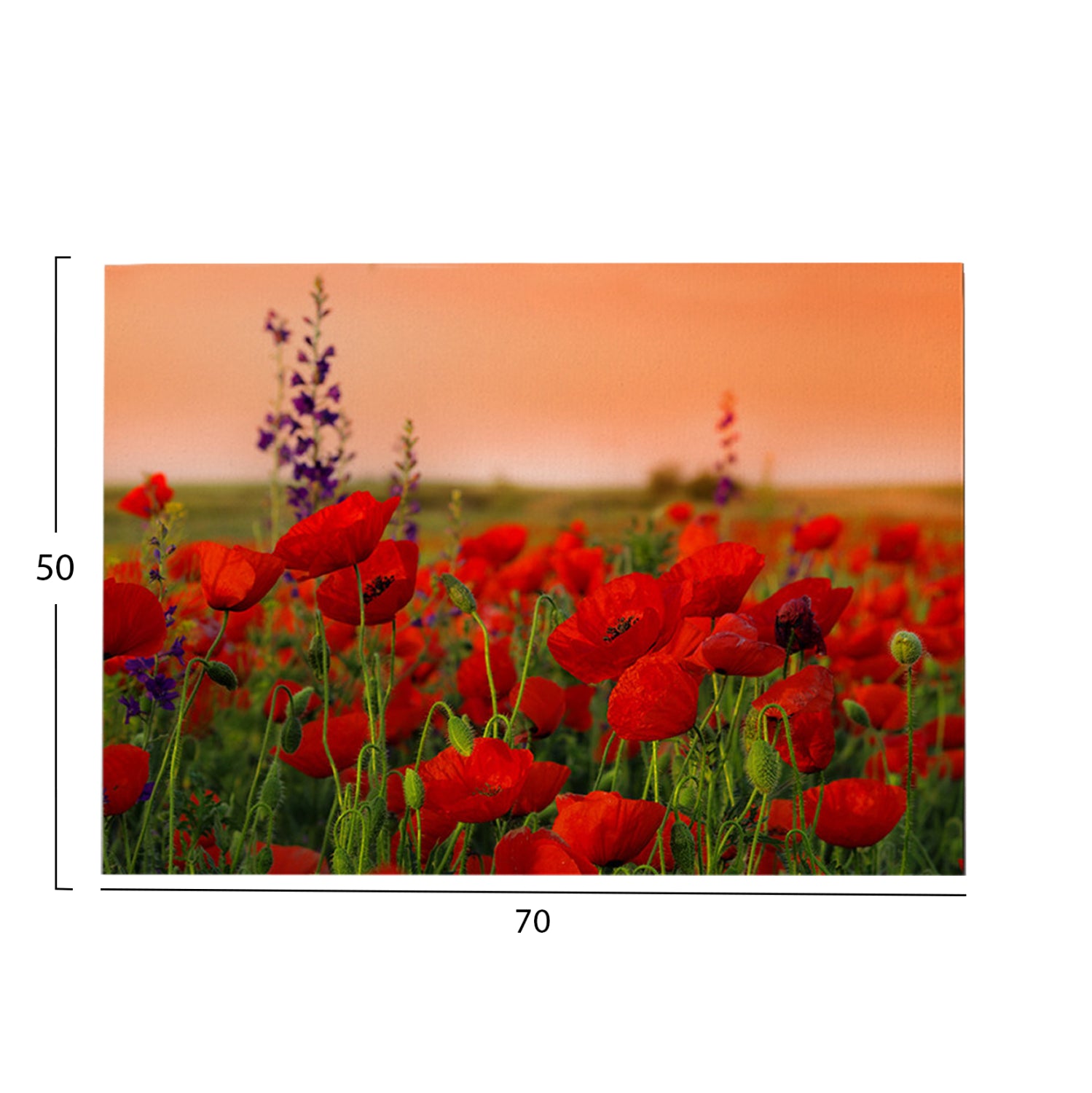 Стенна картина GOBI отпечатано платно 70x3(дебелина)x50cm.