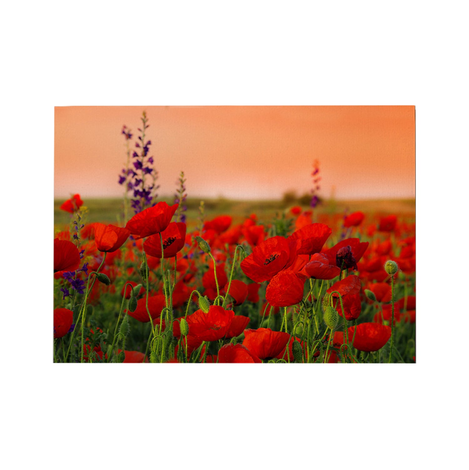 Стенна картина GOBI отпечатано платно 70x3(дебелина)x50cm.