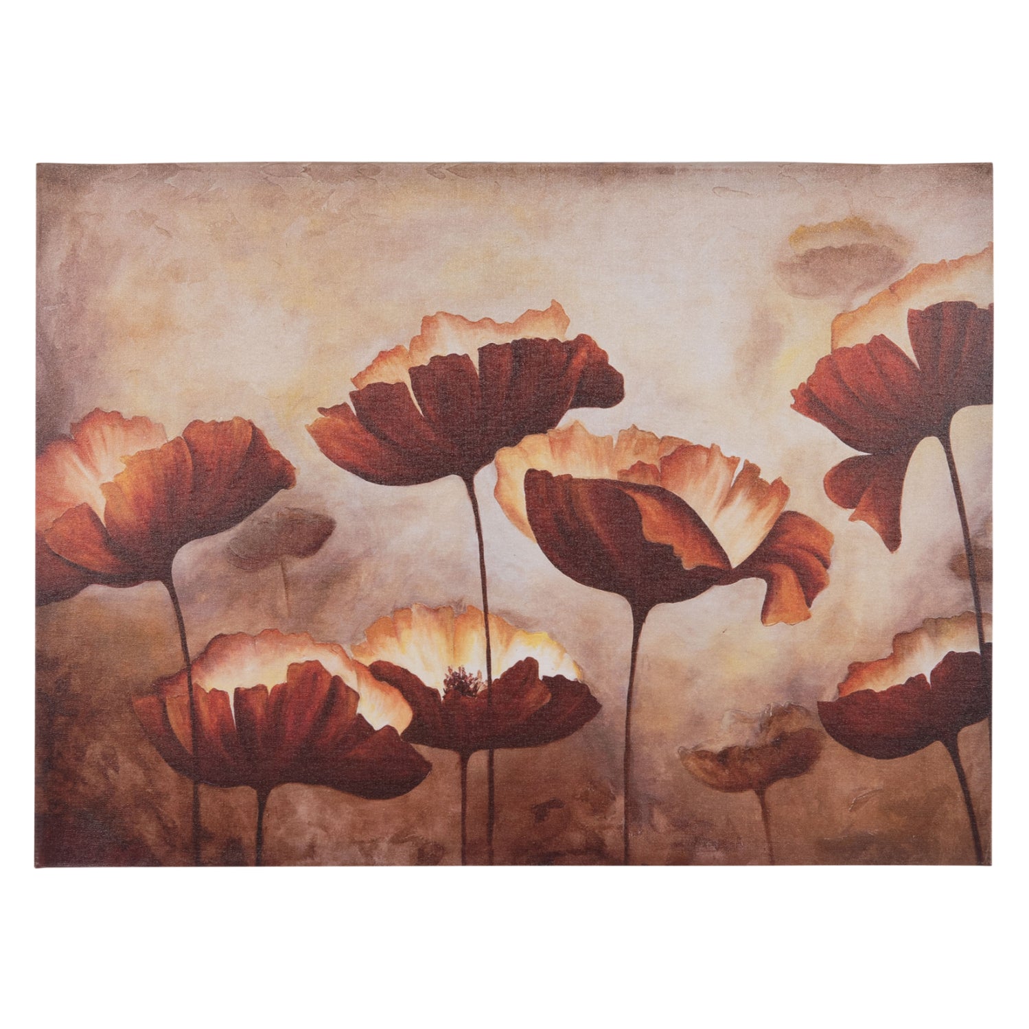 Стенна картина  GOBI  отпечатано платно 68x2.5(дебелина)x50cm.
