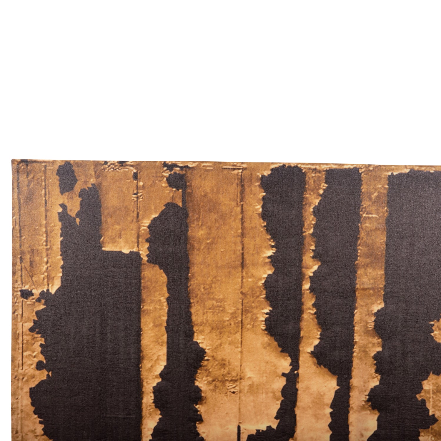 Стенна картина GOBIотпечатано платно 98x2.5(дебелина)x68cm.