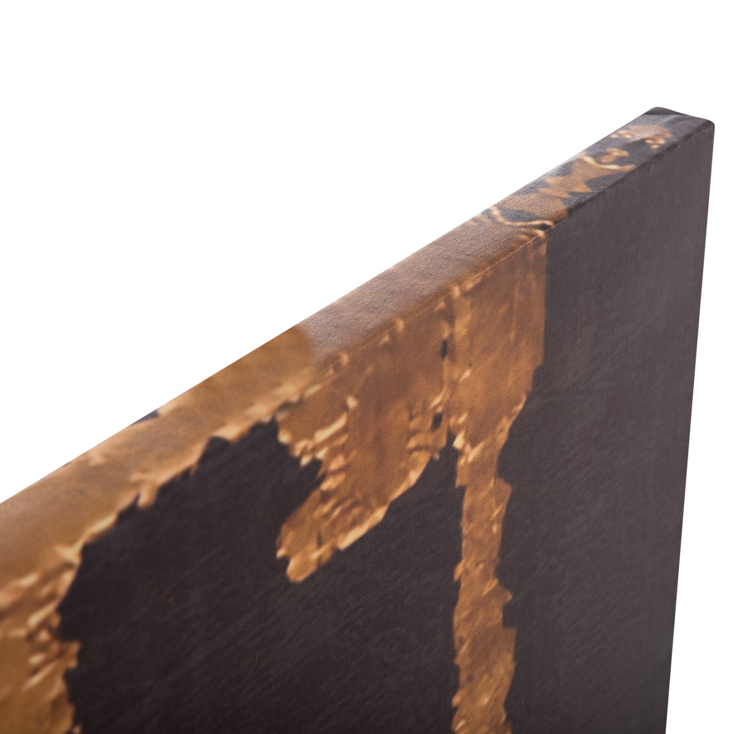 Стенна картина GOBIотпечатано платно 98x2.5(дебелина)x68cm.