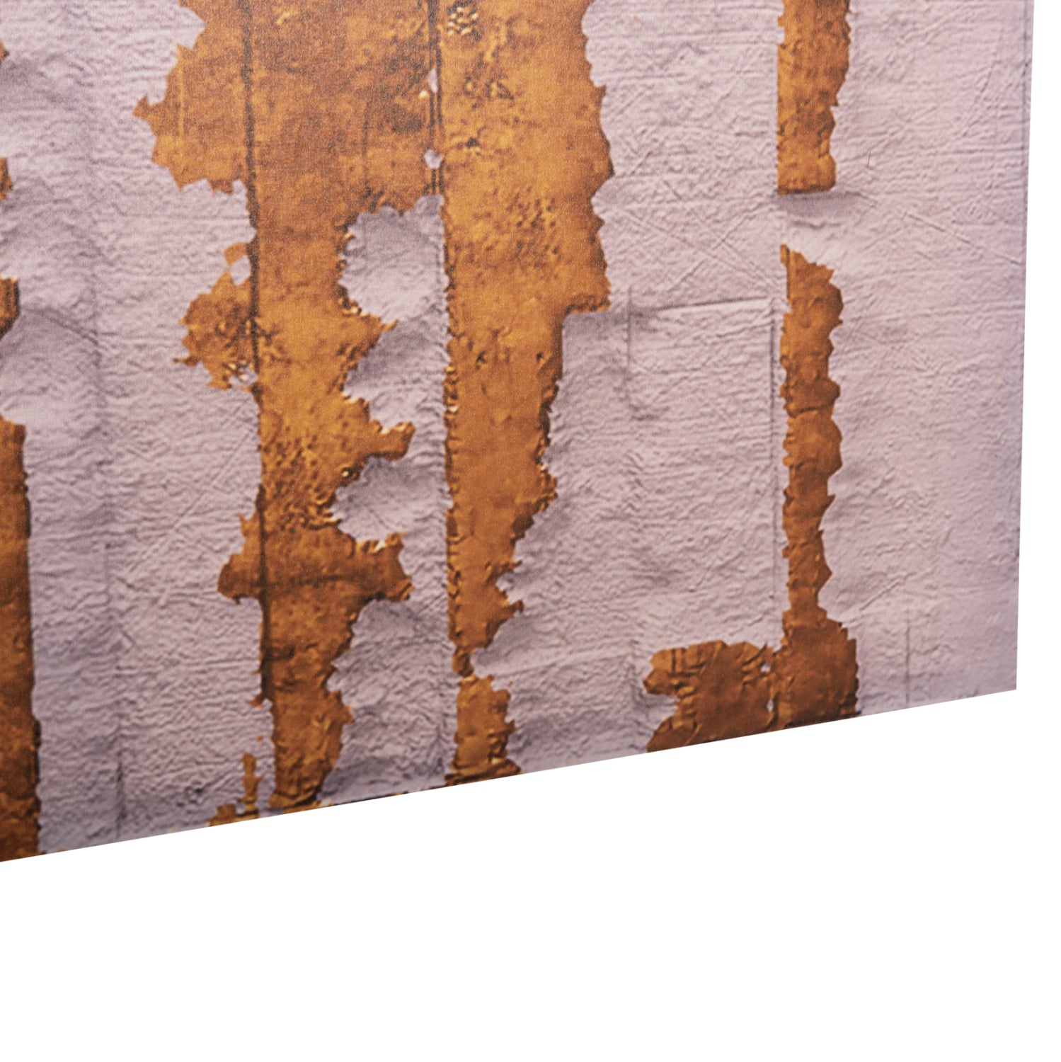 Стенна картина GOBI отпечатано платно 98x2.5(дебелина)x68cm.