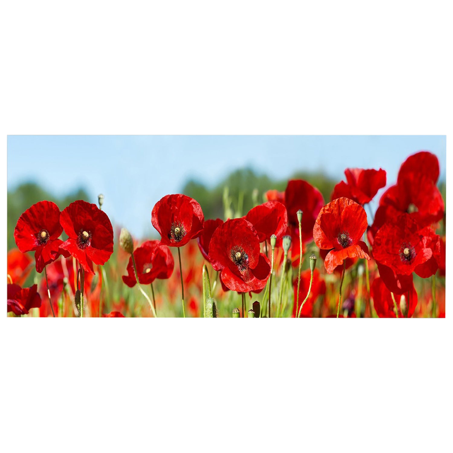 Стенна картина GOBI отпечатано платно 120x3(дебелина)x50cm.