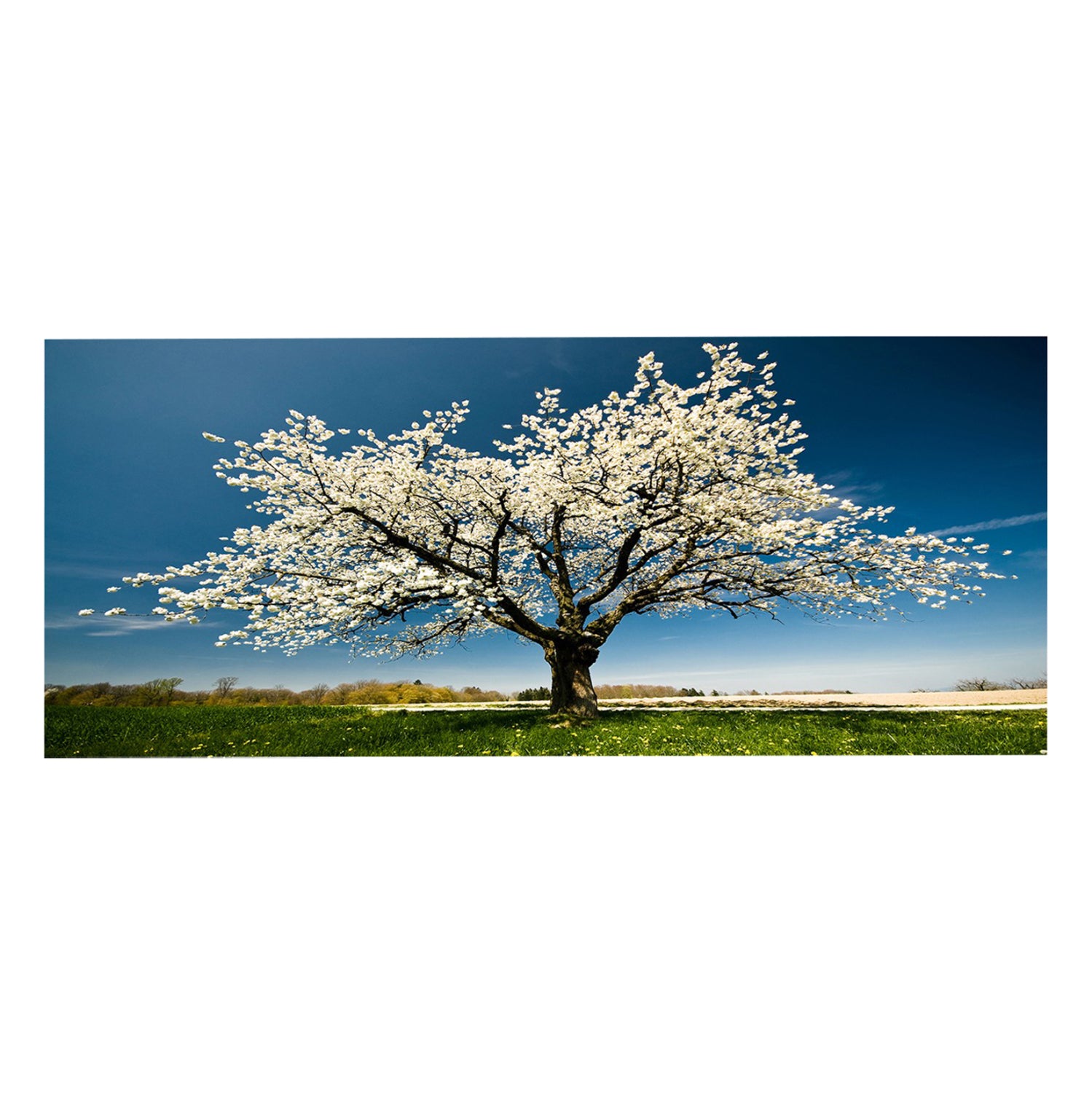 Стенна картина серия GOBI отпечатано платно 120x3(дебелина)x50cm.