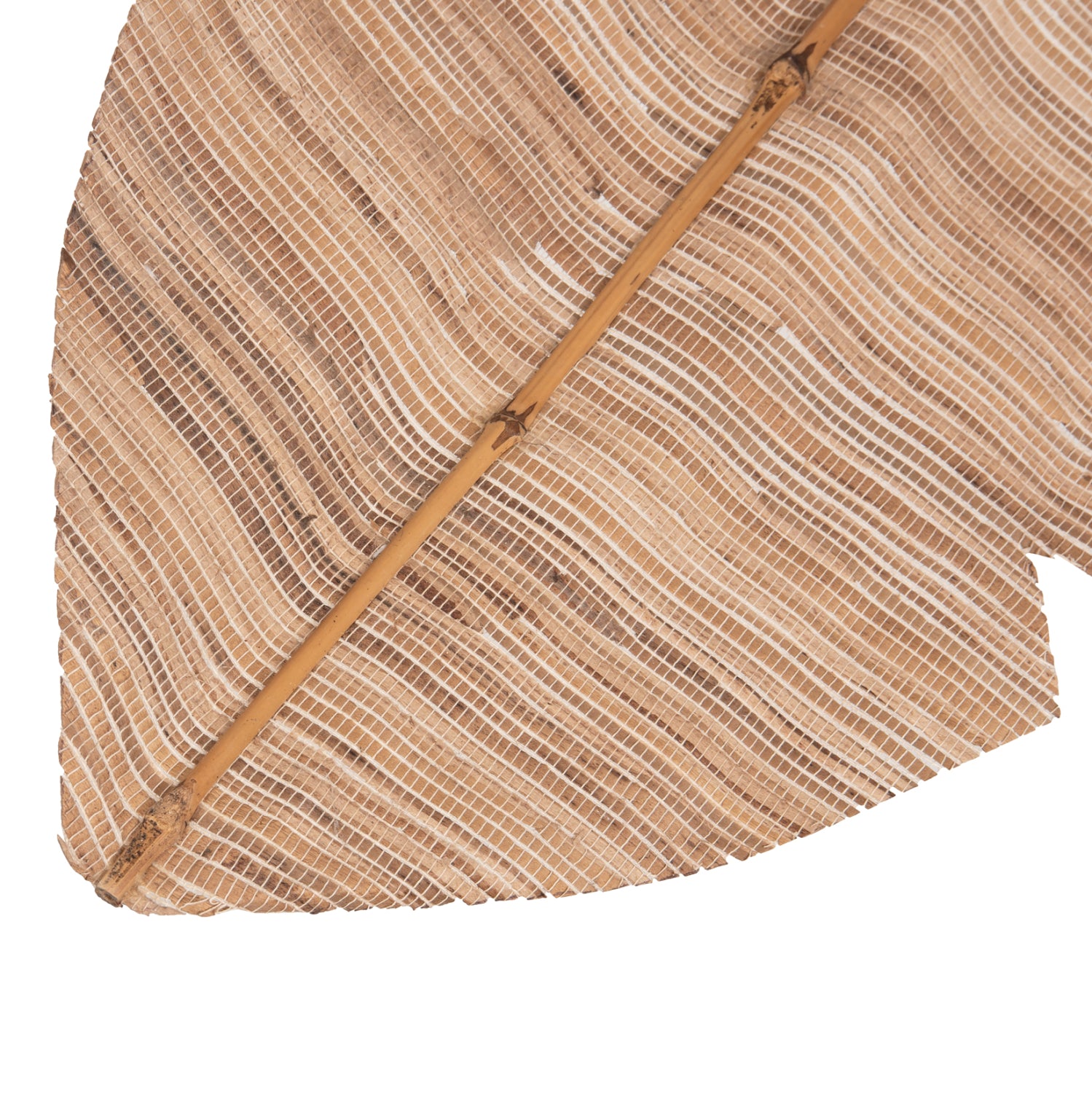 Декоративнолисто  в естествен цвят 32x200x3 см