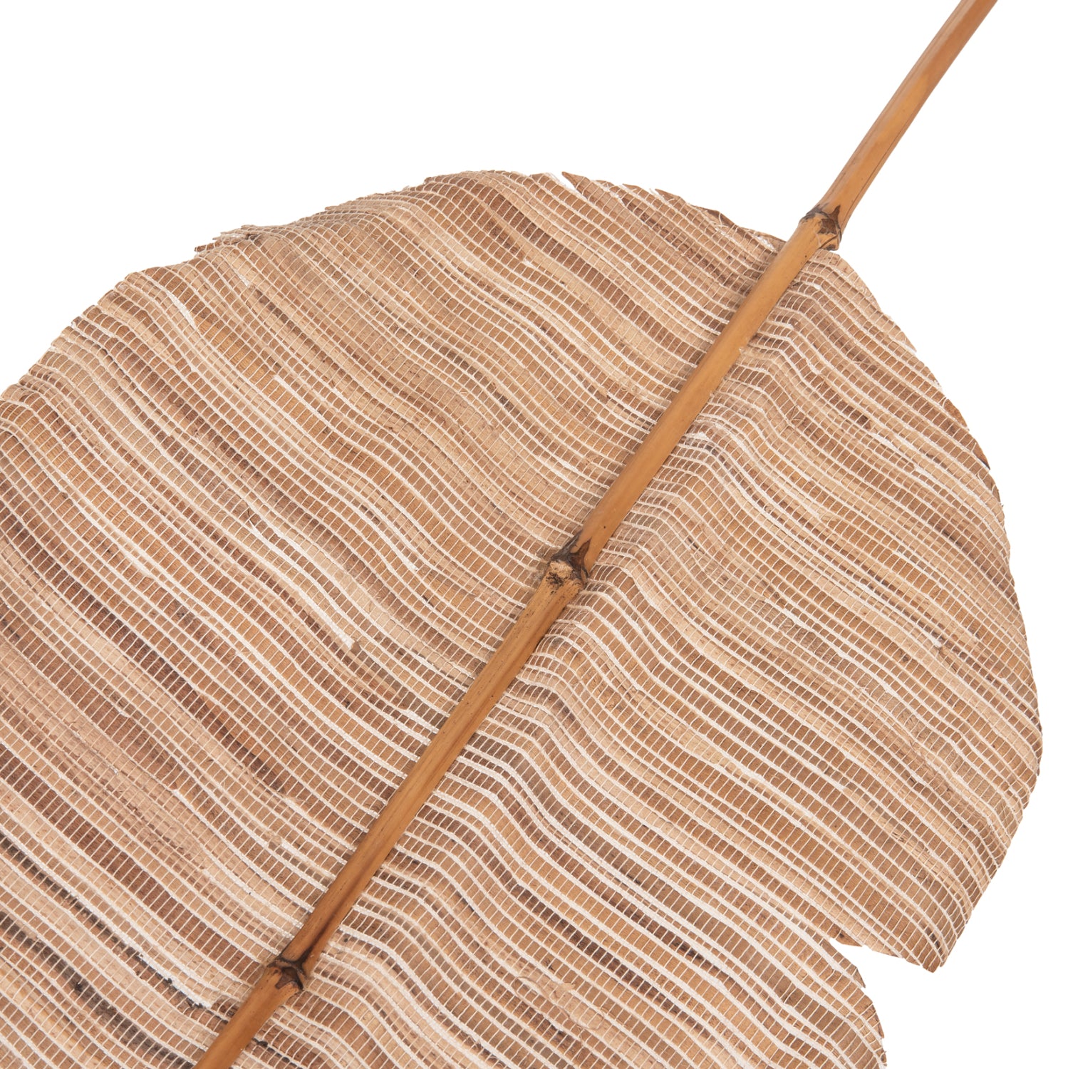 Декоративнолисто  в естествен цвят 32x200x3 см